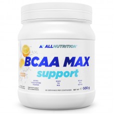 Аминокислота BCAA AllNutrition BCAA Max Support, 500 грамм Апельсин Аминокислота BCAA AllNutrition BCAA Max Support, 500 грамм Апельсин