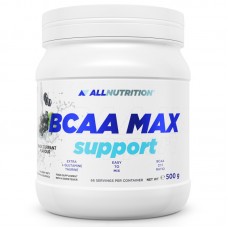 Аминокислота BCAA AllNutrition BCAA Max Support, 500 грамм Черная смородина Аминокислота BCAA AllNutrition BCAA Max Support, 500 грамм Черная смородина