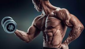 Спортивное питание в Херсоне Спортивное питание в Херсоне