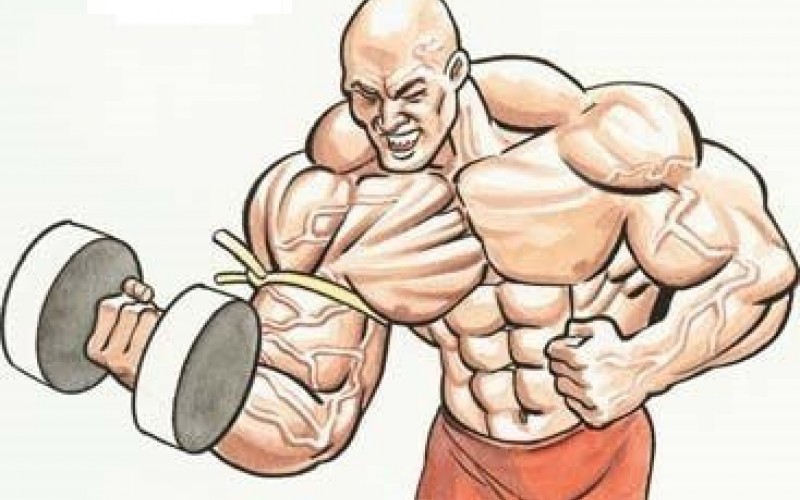Виды спортивного питания 