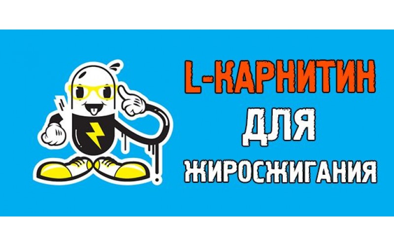 Разберемся как L-карнитин поможет похудеть