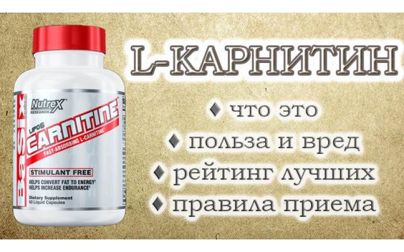 Что такое карнитин ? Какая дозировка допустима в сутки ?