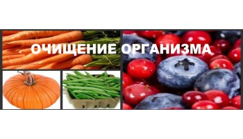 Как правильно выполнять очищение организма?