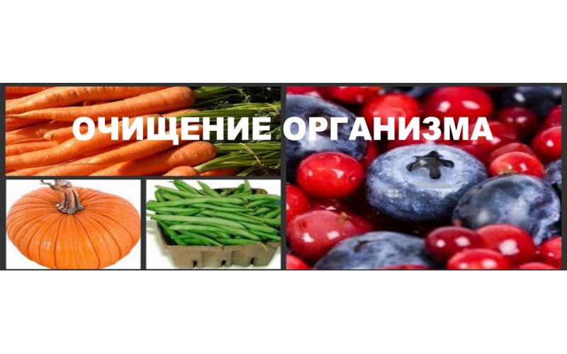Как правильно выполнять очищение организма?