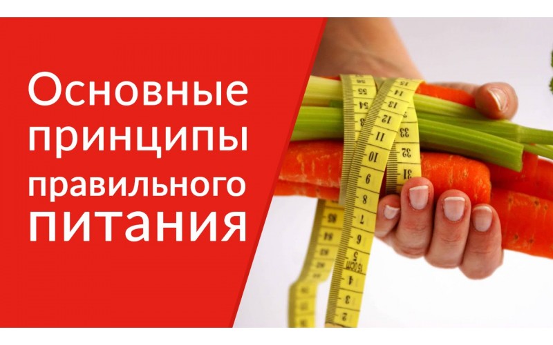 Основы правильного питания