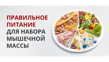 Сколько калорий нужно употреблять для набора мышечной массы?