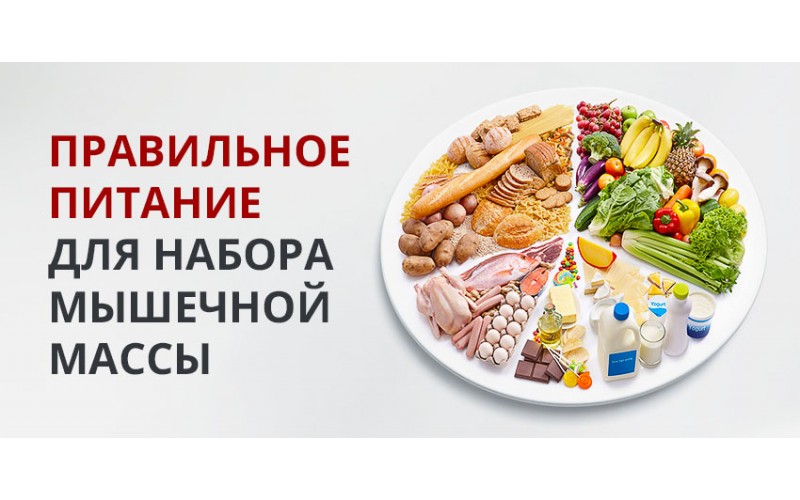 Сколько калорий нужно употреблять для набора мышечной массы?
