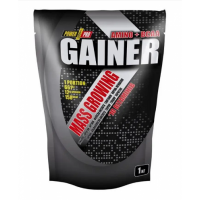 Gainer - 1000g Vanilla Gainer - 1000g Vanilla