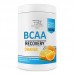 BCAA Recovery - 500g Orange 100-52-6524370-20 Bodyperson Labs