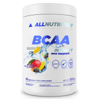 BCAA Max Support Instant - 500g Mango Blackberry BCAA Max Support Instant - 500g Mango Blackberry