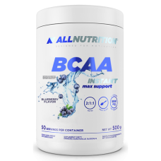 BCAA Max Support Instant - 500g Bllueberry