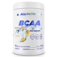 BCAA Max Support Instant - 500g Orange BCAA Max Support Instant - 500g Orange