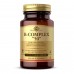 B-Complex 50 - 100 vcaps 2023-10-5653 Solgar