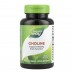 Choline 500 mg - 100 tabs 2022-10-1077 Nature's Way