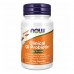 Clinical GI Probiotic - 60 vcaps 2022-10-1703 Now Foods