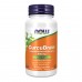 CurcuBrain™ 400mg - 50 vcaps 2023-10-4545 Now Foods