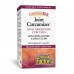 CurcuminRich Joint Curcumizer - 60 vcaps 2023-10-3838 Natural Factors