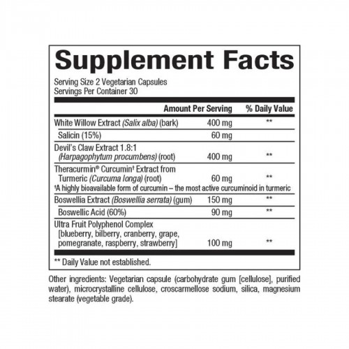 CurcuminRich Joint Curcumizer - 60 vcaps 2023-10-3838 Natural Factors CurcuminRich Joint Curcumizer - 60 vcaps 2023-10-3838 Natural Factors