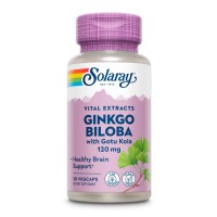 Ginkgo Biloba Extract One 120mg - 30 vcaps Ginkgo Biloba Extract One 120mg - 30 vcaps
