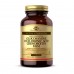 Glucosamine Hyaluronic Acid Chondroitin MSM - 60 tabs 2023-10-5659 Solgar