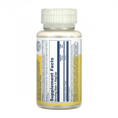 L-Carnitine Free Form 500mg - 30 vcaps 2023-10-6972 Solaray L-Carnitine Free Form 500mg - 30 vcaps 2023-10-6972 Solaray
