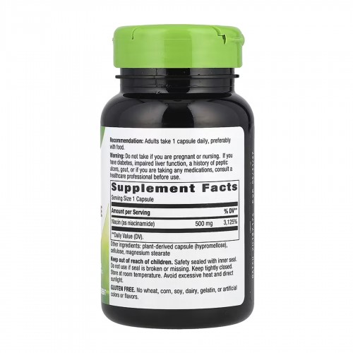 Niacinamide 500 mg - 100 caps 2023-10-6391 Nature's Way Niacinamide 500 mg - 100 caps 2023-10-6391 Nature's Way