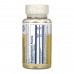 Pantothenic Acid 250mg - 100 caps 2023-10-6744 Solaray