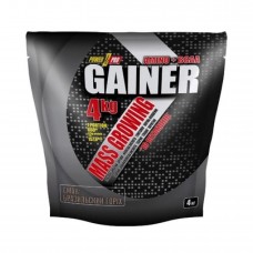 Gainer - 4000g Brazil Nut Gainer - 4000g Brazil Nut