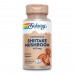 Shiitake Mushroom 600mg - 100 vcaps 2023-10-2129 Solaray