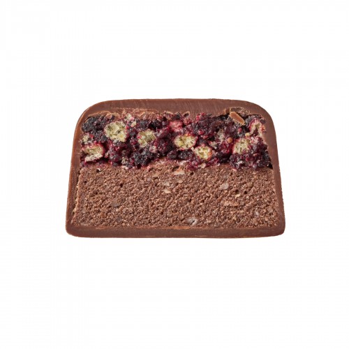 Space Bite - 10x45g Cherry Chocolate 2023-10-4655 Space Food Space Bite - 10x45g Cherry Chocolate 2023-10-4655 Space Food
