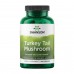 Turkey Tail Mushroom 500mg - 120 caps 2023-10-2310 Swanson