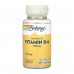 Solaray Vitamin B-6 Timed-Release 100mg - 60 vcaps 2023-10-6423 