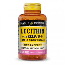 Mason Natural Lecithin 200 mg with Kelp/Vitamin B6 Plus Cider Vinegar, 100 капсул Mason Natural Lecithin 200 mg with Kelp/Vitamin B6 Plus Cider Vinegar, 100 капсул
