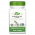 Натуральная добавка Nature's Way Skullcap Herb, 100 вегакапсул CN16413 