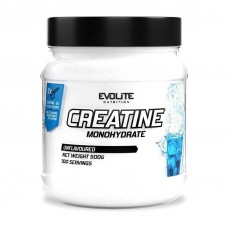 Evolite Nutrition Creatine Monohydrate, 500 грамм - Натуральный