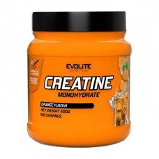 Evolite Nutrition Creatine Monohydrate, 500 грамм - Апельсин Evolite Nutrition Creatine Monohydrate, 500 грамм - Апельсин