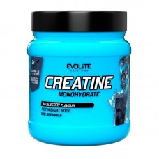 Evolite Nutrition Creatine Monohydrate, 500 грамм - Черника