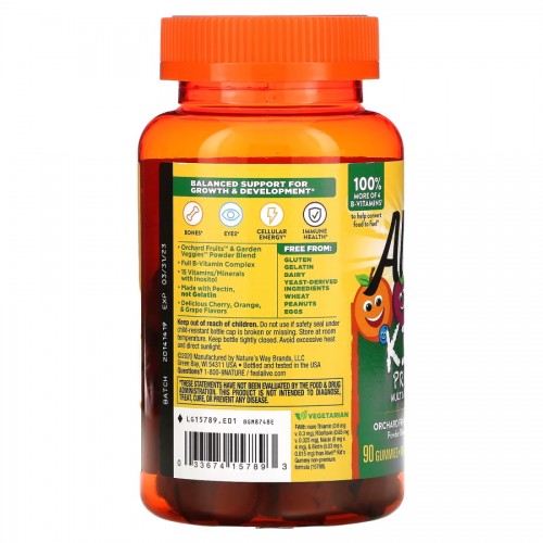 Nature's Way Alive! Multi-Vitamin for Children, 90 желейок CN7426 Nature's Way Nature's Way Alive! Multi-Vitamin for Children, 90 желейок CN7426 Nature's Way