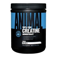 Universal Nutrition Animal Micronized Creatine, 300 грам - З дефектом взявся грудками Universal Nutrition Animal Micronized Creatine, 300 грам - З дефектом взявся грудками