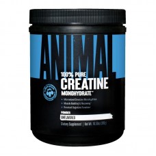 Universal Nutrition Animal Micronized Creatine, 300 грамм