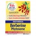 Enzymedica Berberine Phytosome, 60 капсул CN15534 Enzymedica