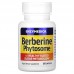 Enzymedica Berberine Phytosome, 60 капсул CN15534 Enzymedica