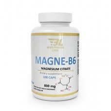 Bodyperson Labs Labs Magne-B6, 100 капсул