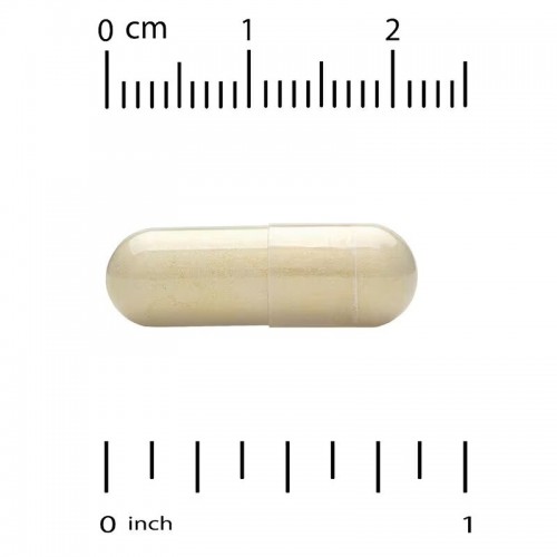California Gold Nutrition Sport Joint Health, 90 вегакапсул CN17144 California Gold Nutrition California Gold Nutrition Sport Joint Health, 90 вегакапсул CN17144 California Gold Nutrition