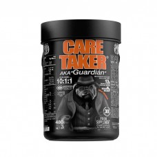 Zoomad Labs Caretaker BCAA, 480 грам - Апельсин Zoomad Labs Caretaker BCAA, 480 грам - Апельсин