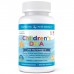 Nordic Naturals Children's DHA 250 mg, 360 капсул CN6887 Nordic Naturals