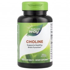 Nature's Way Choline, 100 таблеток