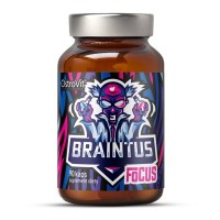 OstroVit Braintus Focus, 90 капсул OstroVit Braintus Focus, 90 капсул