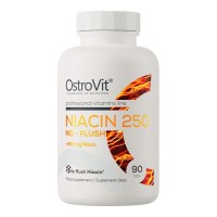OstroVit Niacin 250 No-Flush, 90 таблеток OstroVit Niacin 250 No-Flush, 90 таблеток
