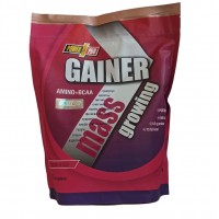 Power Pro Gainer, 2 кг - Лесная ягода